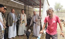 جمعية حزم العدين التعاونية بمحافظة إب .. تجربة رائدة في التمكين الاقتصادي